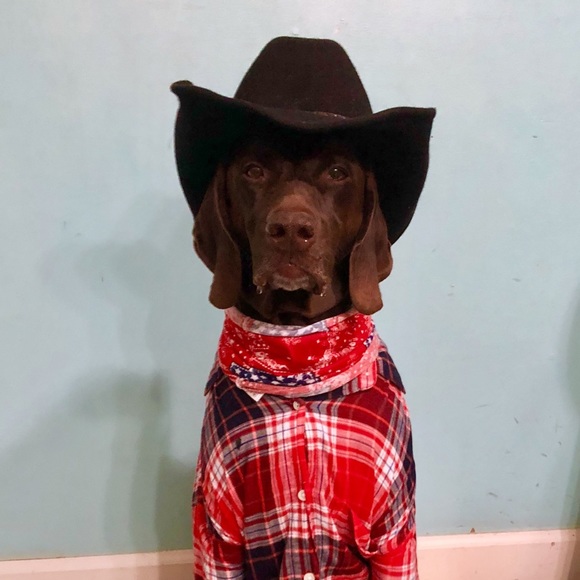 Meet your Posher, Stephen - Picture 2 of 2